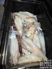 한치