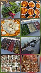 오늘의조황 - 26.06.15 대천항 루피호 광어다운샷 조황 - 대천항 선상 낚시 - 팀루피호, 루피호, 슈퍼맨호