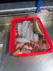 한치조업