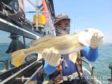 7월12일 백조기낚시^^