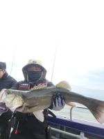 7월24일 외수질 굿!굿!!조황