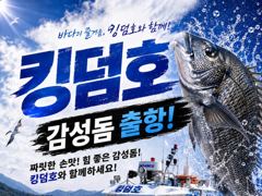 [마산] 킹덤호 피싱/감성돔 예약 가능합니다.
