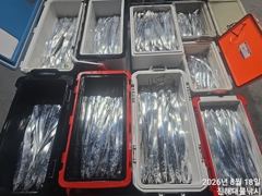 내만칼치,씨알좋아지고 !텐빈.루어 퍽퍽 엄청잡고~수,목,금욜 예약가능~