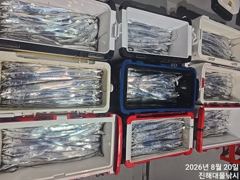 20일새벽,내만칼치 텐빈,루어 씨알점점 엄청나게 잡고~목,금,토욜 예약가능~