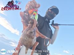 19일(야간문어) 금.토.일.예약가능 무너 잡으로 쭉욱 달려보겠습니다