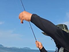 다대포권 뉴아차호 무늬오징어 팁런 진행중