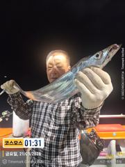 통영 갈치 터졌습니다  3지이상 만쿨 입니다