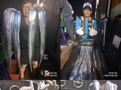 ((**여수포르투나**))  주말,,갈치조황..
