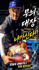 [ 무늬 팁런 ] 6분이 100수 찍었습니다.
