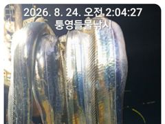 [통영] 14석 보성3호 오늘은 대치들러 3~4지들 쿨러 가득했습니다~~…
