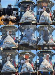 [백조기] ♡백조기♡ 8월 25일 굿~! 굿~! 굿~! 조황~!^^