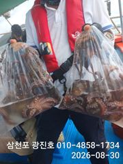 [사천] 문어조황굿{선비,5만,31일,자리여유 쭈꾸미 예약가능