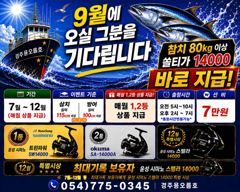 용오름호 삼치 조황입니다!