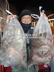9월1일 초대박 조황 17명조사님들 ..장원33수 군산 홈런호 야간 문어 마무리 조황 입니다. 첫스타트 엄청난 조과로 앞으로 문어출조가 설레입니다.오늘 하루 홈런호에 승선하신 조사님들 수고 하셨습니다.