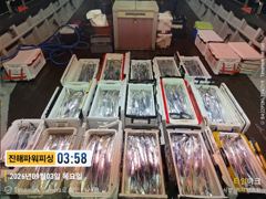 [갈치/텐빈/텐야]3일입항~금.토.일[내만갈치 출조]예약가능