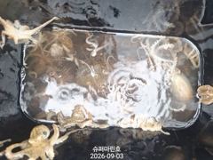 9.3.군산프로선단=슈퍼마린호 쭈꾸미 조황☆☆☆☆☆