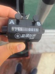 9월 3일 도지호 쭈갑 조황