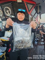 9월4일 안면도 전투호 오후 쭈꾸미 조황