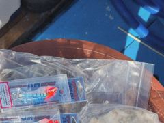조황정보 - 마검포 재미나호 9/5 쭈 조황 입니다 - 마검포 뉴정원호,정원호,정원낚시,선상낚시,배낚시