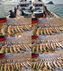 ♥붉바리들..이정도는 잡아봐야지요 초초대박 붉바리조황입니다[2026년09월07일] ◎ 해마루호가 뜨는이유? 조황때문이죠 ◎ 핵심포인트: 바로진입.. 바로히트.. ▣ 차원이 다른 조황으로 모십니다 ▣ 요즘 붉바리낚시가 대세입니다