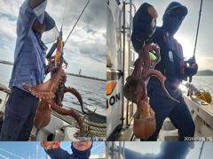 문어,연일,키로,중치들,와르르,,(예약가능)