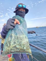 [시간낚시]9월8일인천배낚시덕적호쭈갑조황사진1부