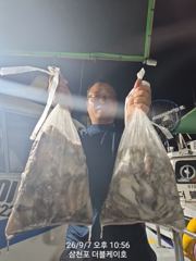 9월 8일 야간 돌문어 조황!! 오늘 야간에도 출조 확정!!