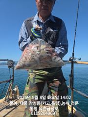 [통영] 통영 금정호 오전문어선상 조황!! 주말 종일낚시 자리있습니다