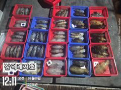 [통영] [팁런]일인,두자리수는 가뿐히,넘기고(금,토출항예약중)