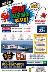 8일)쭈꾸미 마리수 조과~ 손맛 즐겨보실분 전화주세요