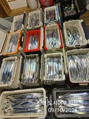갈치한치조황++ - 10일 입항, 내만갈치 만쿨~~ 쿨러 넘치도록, 오늘 예약가능.
