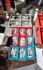 무늬가 넘쳐나요!