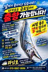 출조안내 - 9월11일부터 대갈치 쿨러가득 출조합니다