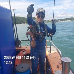 포항 종방)제2대일호 9월 11일 조황