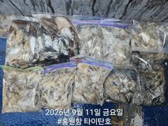 오늘의조황 - [홍원항타이탄호] 9월10일(목) 사릿물? 그게 뭐예요.깝쭈 다녀왔습니다. - 홍원항 타이탄호