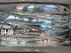 [통영] [통영청신호]오늘3자리//12일당일조황~먼바다 대갈치 풀치속 대…