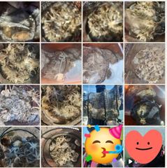 [여수,광양] ♡9월12일 여수야호 쭈꾸미조황 #개인기록갱신 #14일부터자리여…