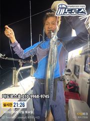갈치한치조황++ - 12일 실시간 준내만 갈치텐빈 신아라호