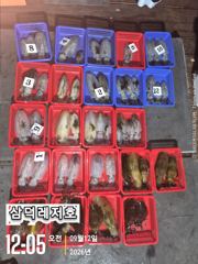 [팁런] 감자는 가라 "싸이즈""굿",마리수 (일요일,출항)