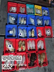 [팁런]감자,no,고구마,무시급으로(일요일,소수인원,출항확정)