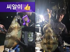 [부산] 무늬 무늬 무늬 씨알이 후덜덜 !