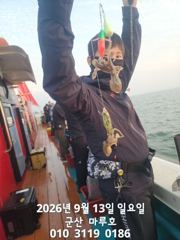 9월 13일 실시간 조항~