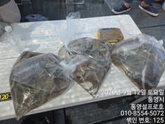 [통영] 주말 주야간 조황 (내일 2자리)