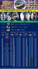 ♥붉바리들..이정도는 잡아봐야지요 초대박 붉바리조황입니다[2026년09월13일 ] ◎ 해마루호가 뜨는이유? 조황때문이죠 ◎ 핵심포인트: 바로진입.. 바로히트.. ◎ 차원이 다른 ...