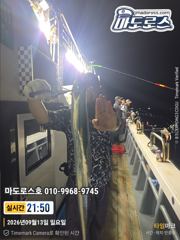 [거제] 텐야텐빈 오늘의조황입니다