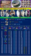 [공지} 9월16일 붉바리 출항합니다