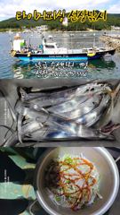 [마산] 구산면 타이거 칼치