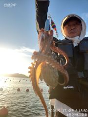 통영박프로호 돌문어 실시간