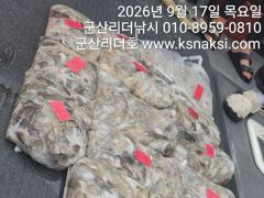 ⭐⭐군산 주꾸미, 지금 분위기가 달라졌습니다⭐⭐21부터여유자리