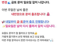 토요일 갈치 출조 합니다. 요즘 갈치 씨알이 엄청 좋네요
